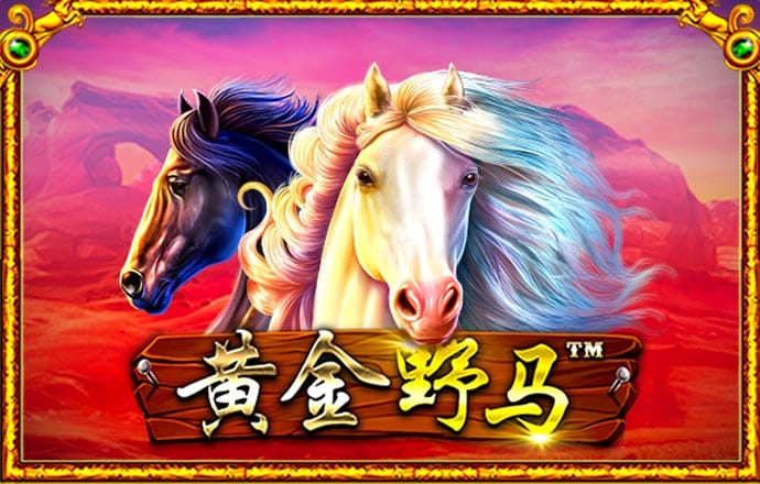 球王会体育登录入口