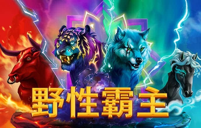 678体育官方版app下载安装